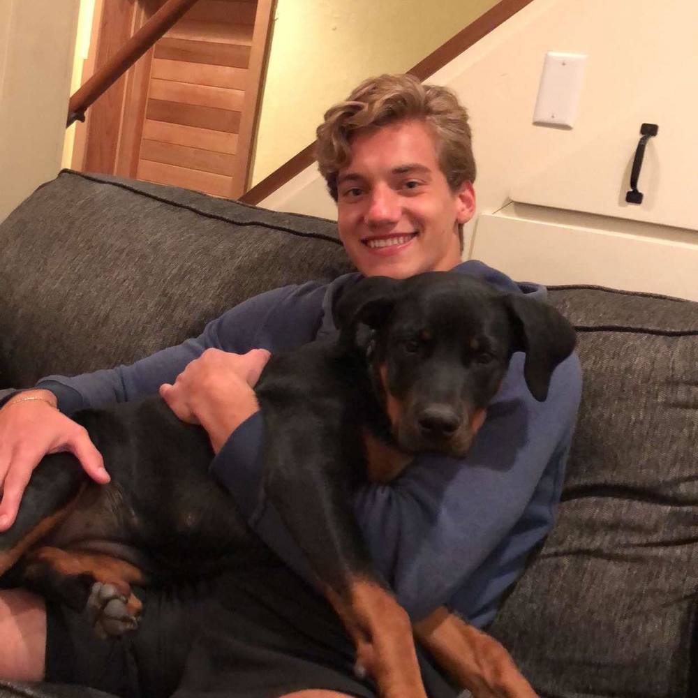 Meet your Posher, Lorenzo